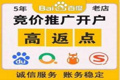 竞价排名策略案例：广告效果最大化技巧